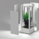 growbox
